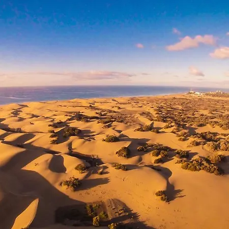 Cebrian 54 * Las Palmas de Gran Canaria